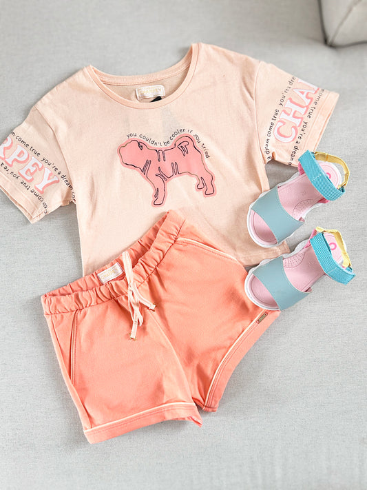 Conjunto Charpey