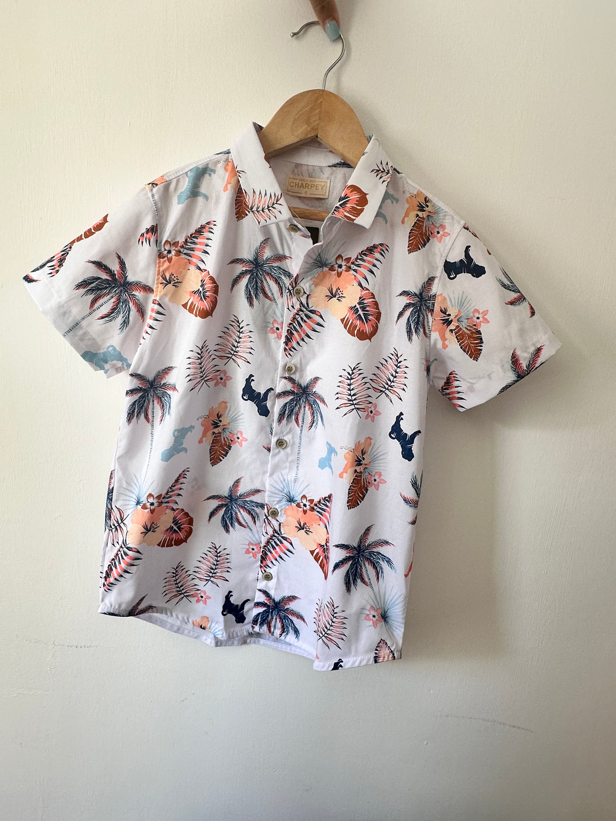 CAMISA CHARPEY