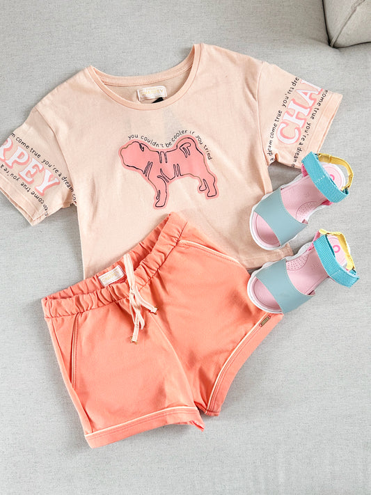 CONJUNTO CHARPEY