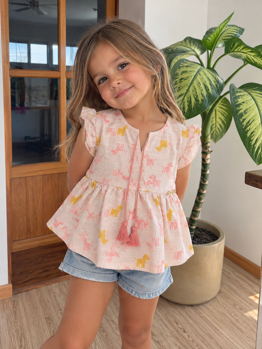 Blusa charpey
